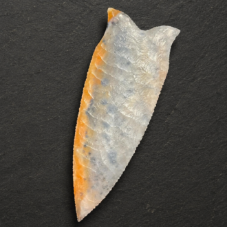 Agatized Florida Coral Dalton Point by Joel Robinson Stoneworks.